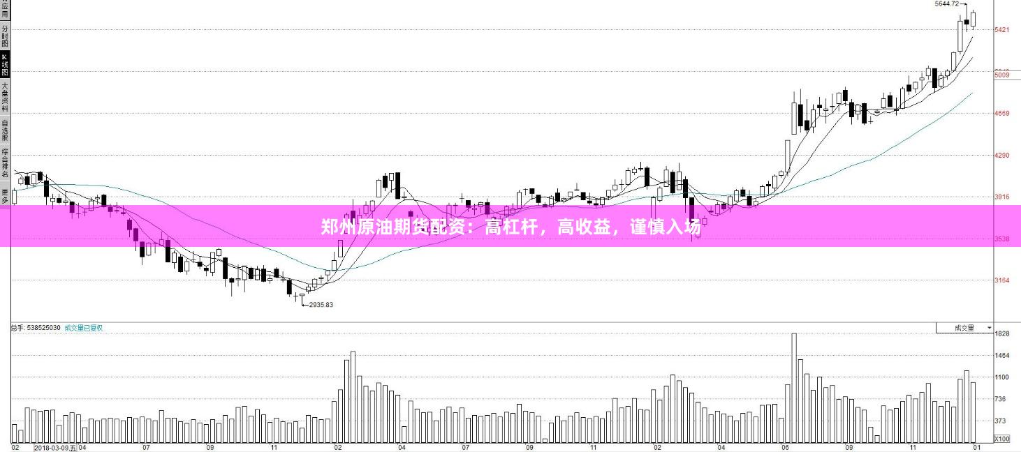 郑州原油期货配资：高杠杆，高收益，谨慎入场