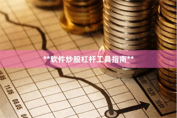 **软件炒股杠杆工具指南**
