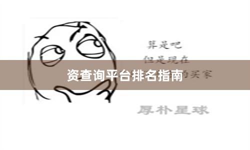 资查询平台排名指南